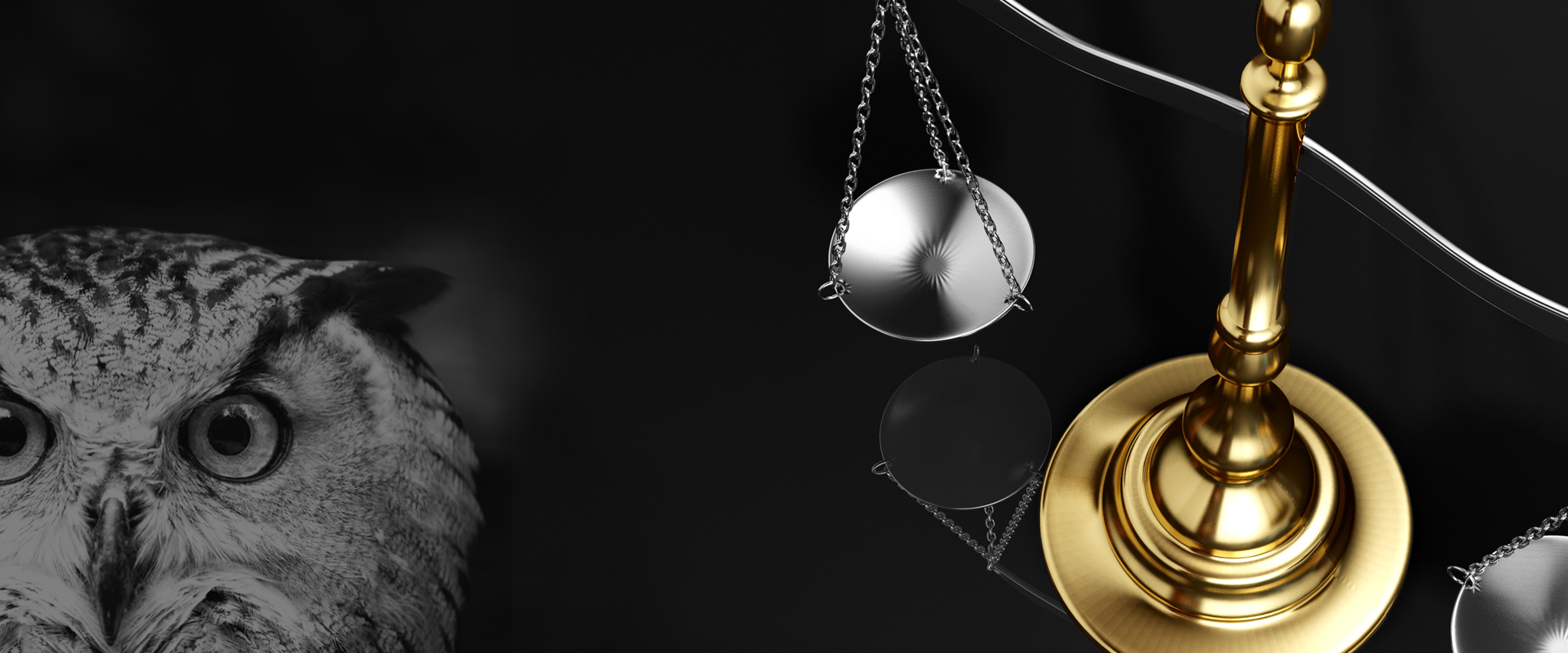 slider_owl